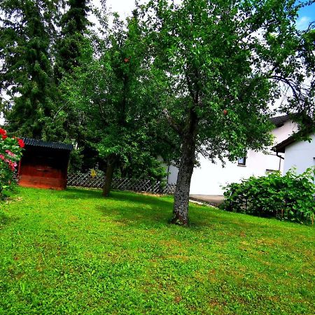 Apartmán Milonia 2 Bernkastel-Kues Exteriér fotografie