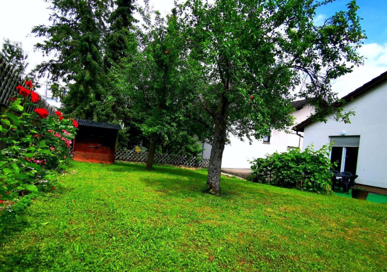 Apartmán Milonia 2 Bernkastel-Kues Exteriér fotografie